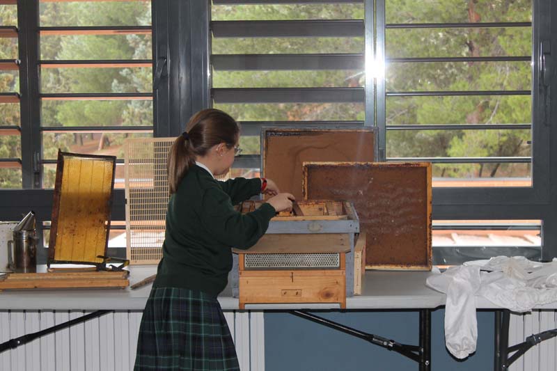 Semana Ciencias en Los Tilos